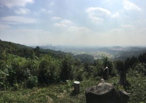 芥川山城からの眺望